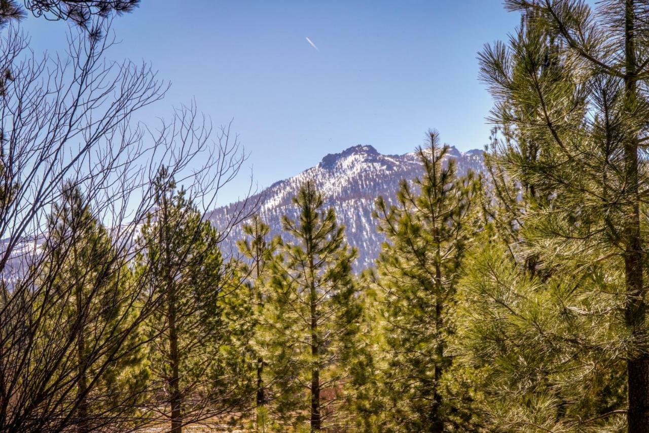 Vila Cozy Seclusion South Lake Tahoe Exteriér fotografie